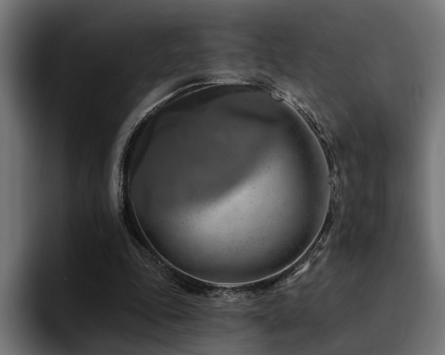 X0000094460343200711081330