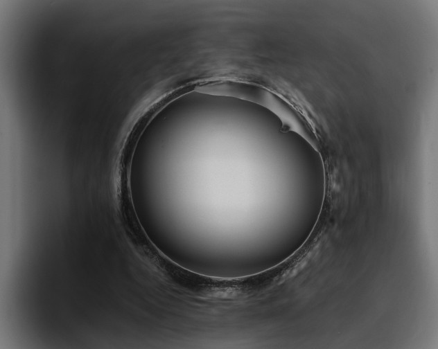 X0000094460344200711081330