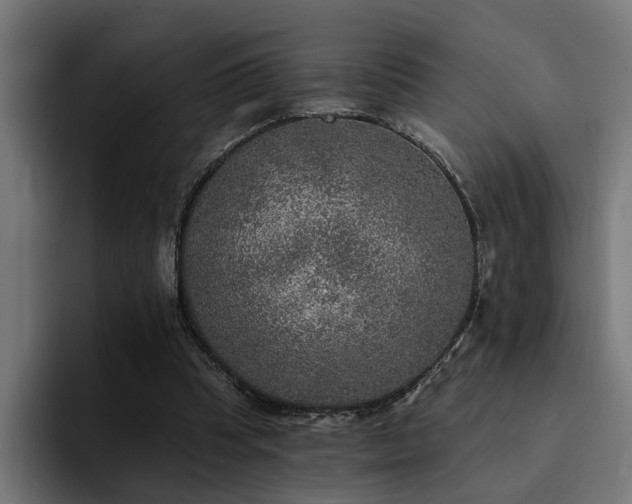 X0000094460345200711081330