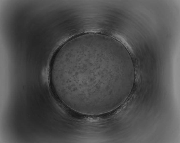X0000094460346200711081330