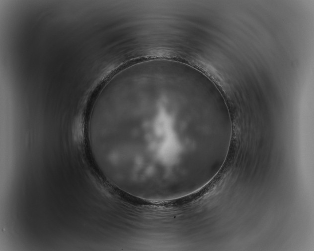 X0000094460347200711081330
