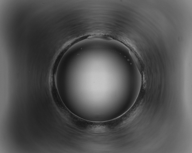 X0000094460348200711081330