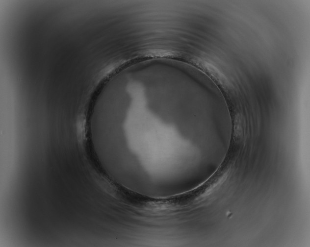X0000094460351200711081330