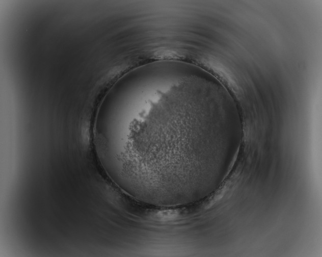 X0000094460353200711081330
