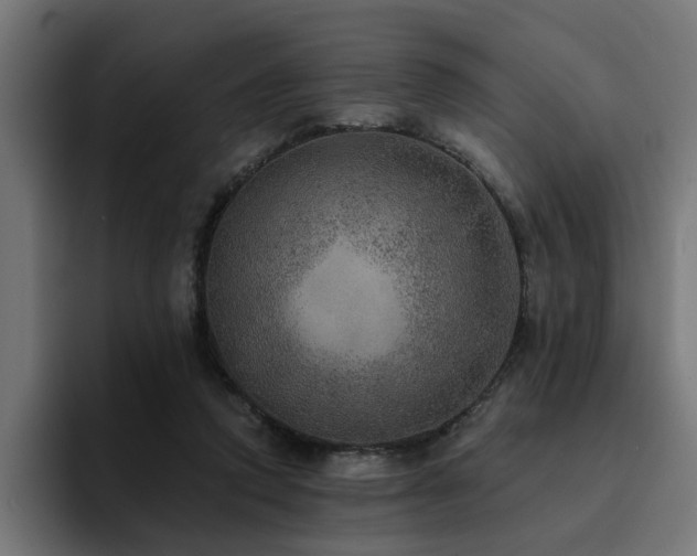X0000094460354200711081330