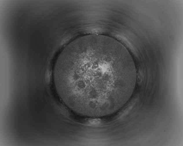X0000094460355200711081330