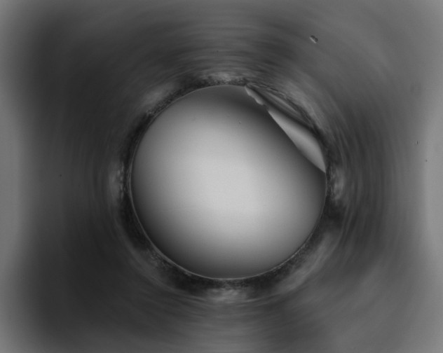 X0000094460356200711081330