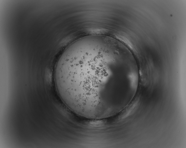 X0000094460357200711081330