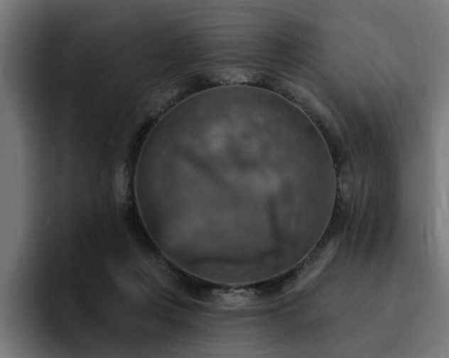 X0000094460359200711081330