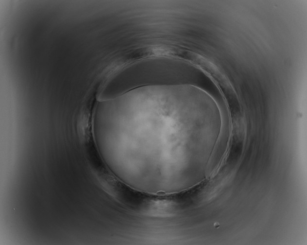 X0000094460360200711081330