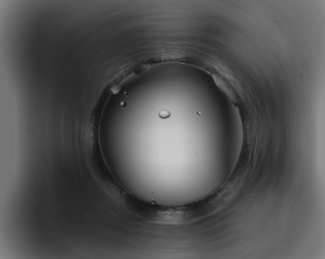 X0000094460362200711081330