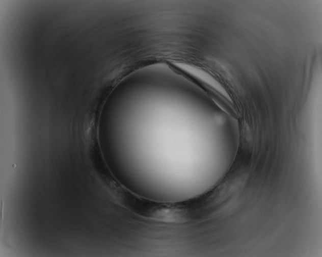 X0000094460364200711081330