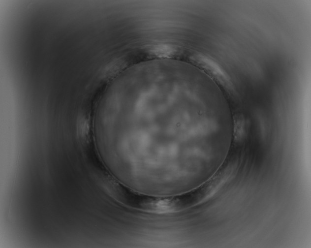 X0000094460365200711081330