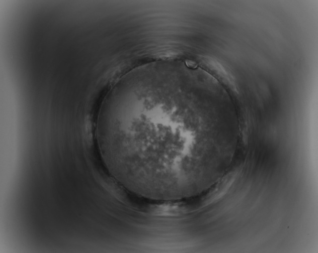 X0000094460366200711081330