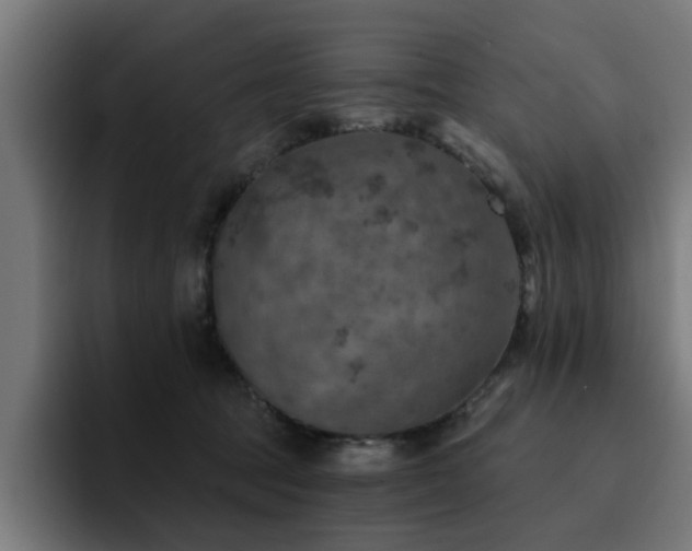 X0000094460369200711081330