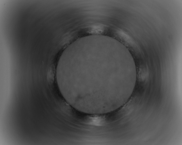X0000094460370200711081330