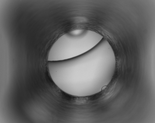 X0000094460373200711081330