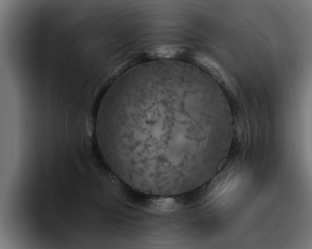 X0000094460374200711081330