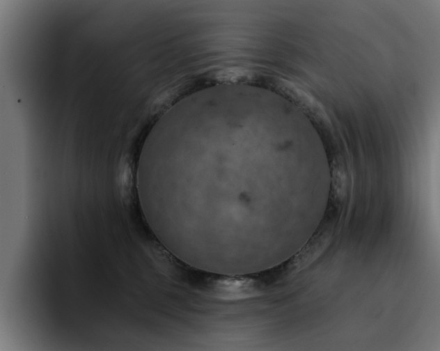 X0000094460375200711081330