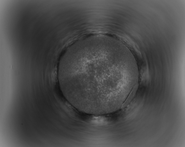 X0000094460376200711081330