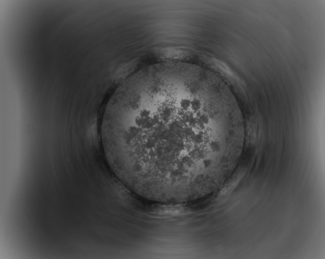 X0000094460377200711081330
