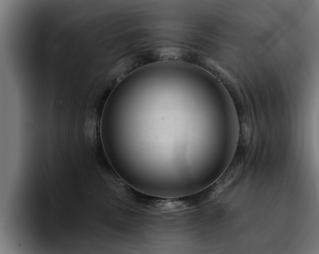 X0000094460379200711081330