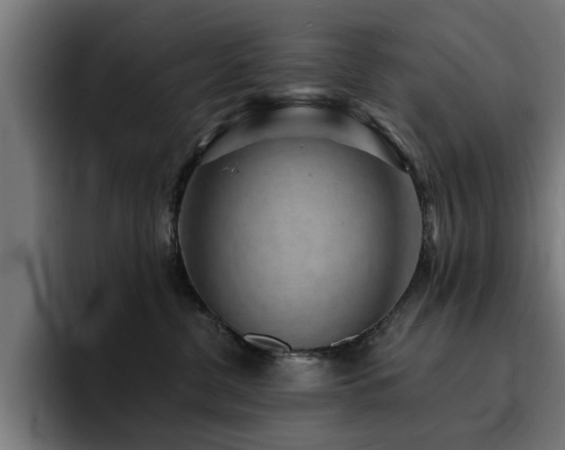 X0000094460380200711081330