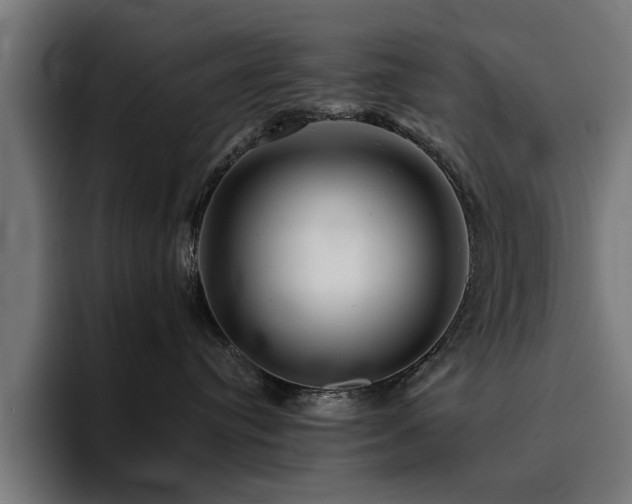 X0000094460384200711081330