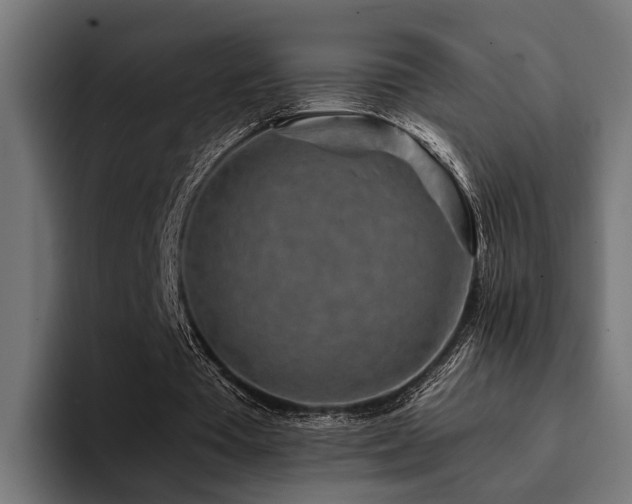 X0000094460385200711081329
