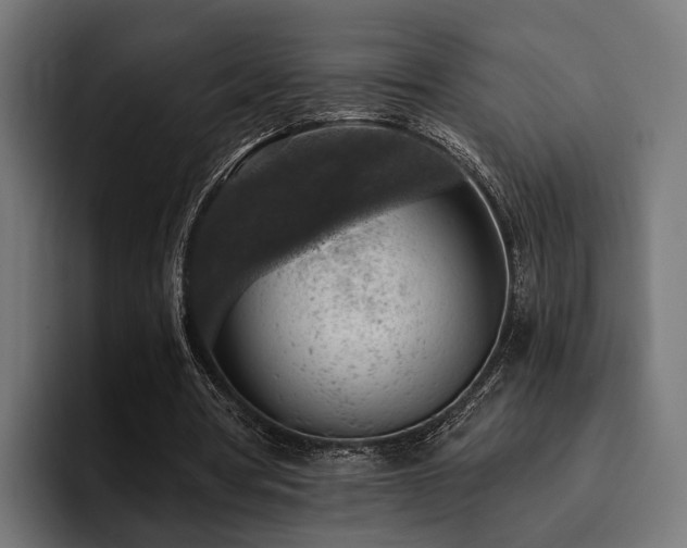 X0000094460386200711081329
