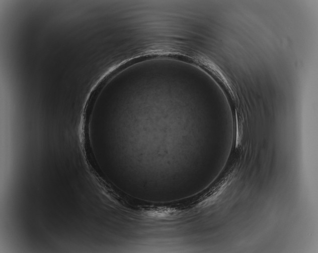 X0000094460387200711081329