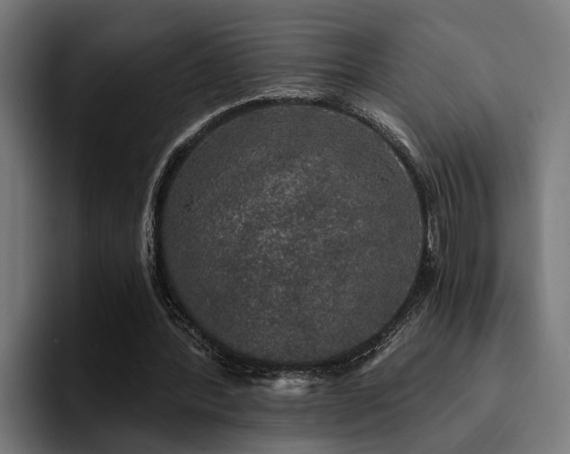 X0000094460388200711081329