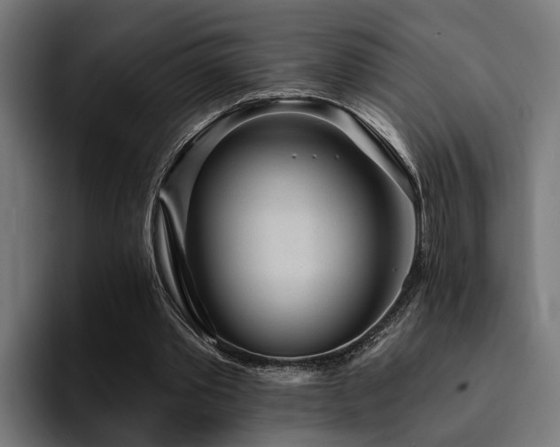 X0000094460389200711081329