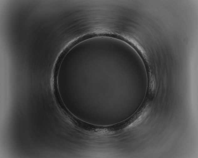 X0000094460391200711081329