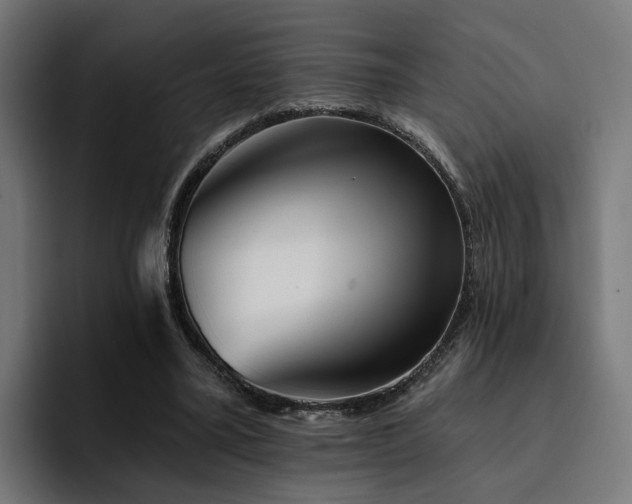 X0000094460395200711081329