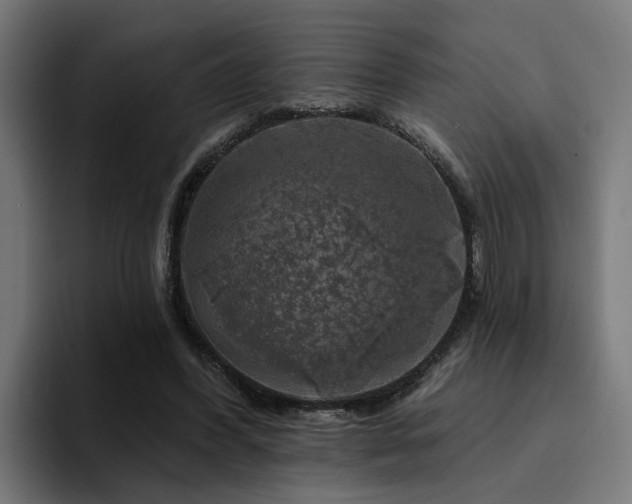 X0000094460396200711081329