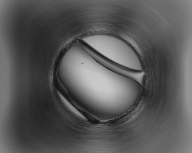 X0000094460399200711081329