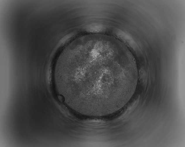 X0000094460400200711081329