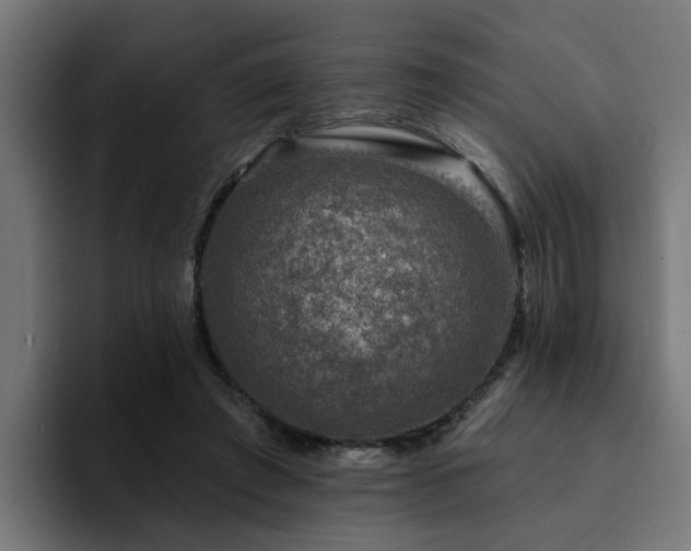 X0000094460401200711081329