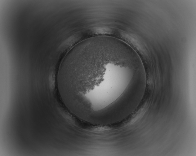 X0000094460402200711081329