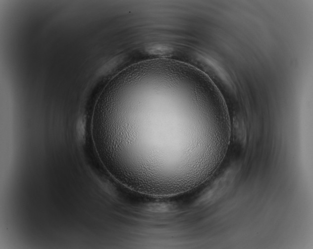 X0000094460404200711081329