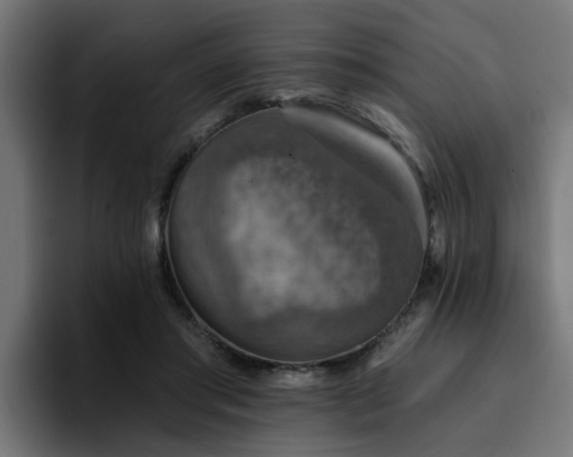 X0000094460405200711081329