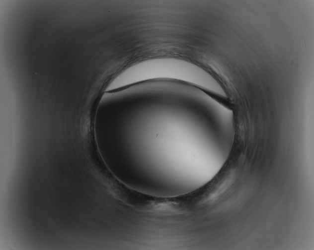 X0000094460407200711081329