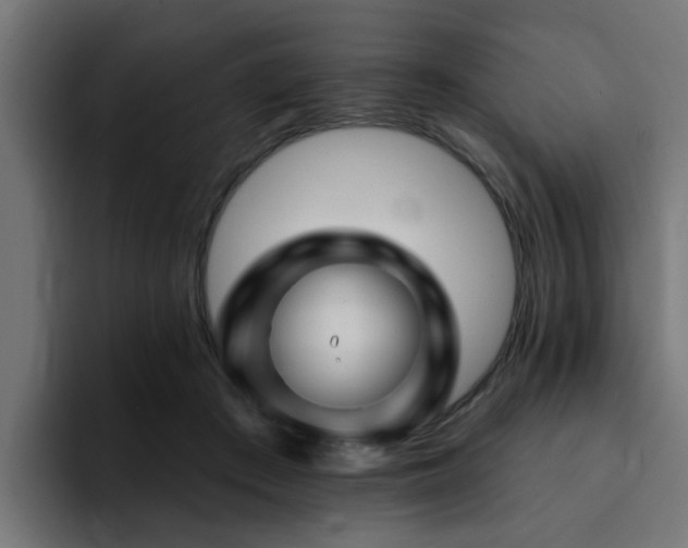 X0000094460409200711081329