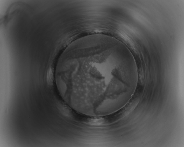 X0000094460410200711081329