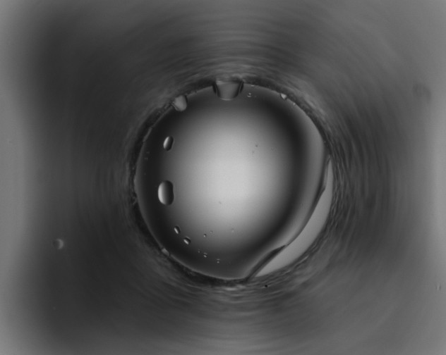 X0000094460411200711081329
