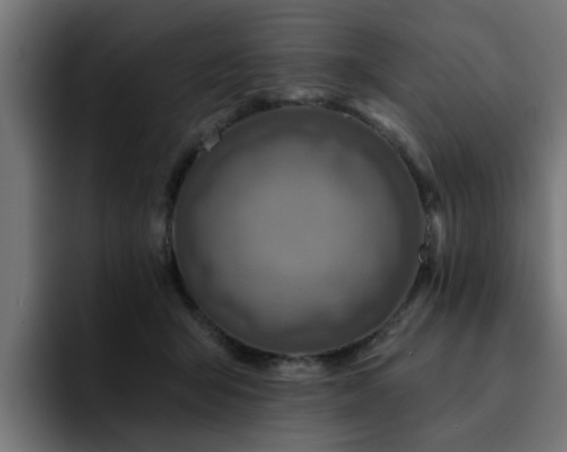 X0000094460415200711081329