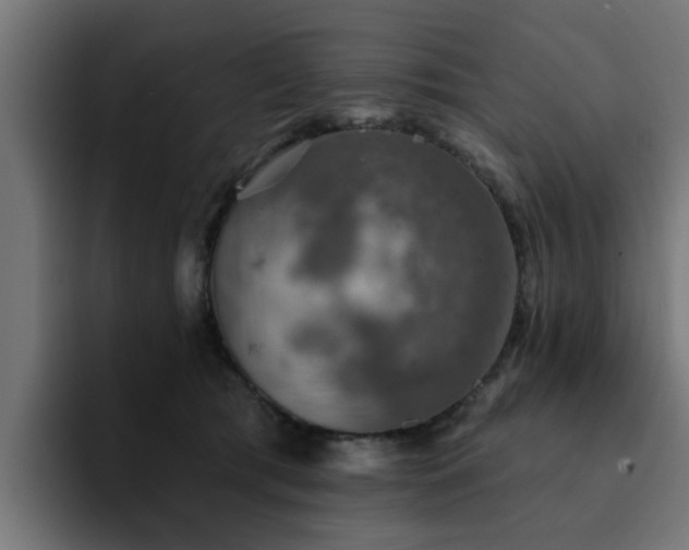 X0000094460417200711081329