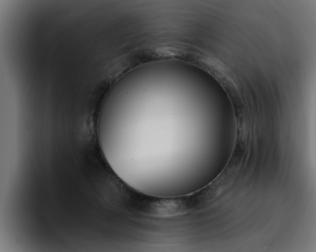 X0000094460418200711081329