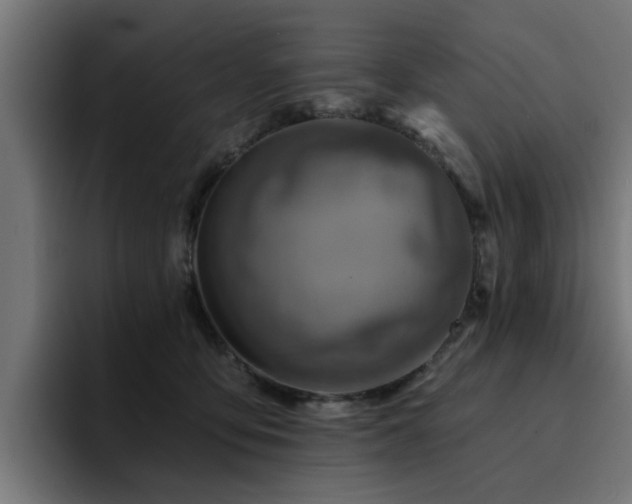 X0000094460419200711081329